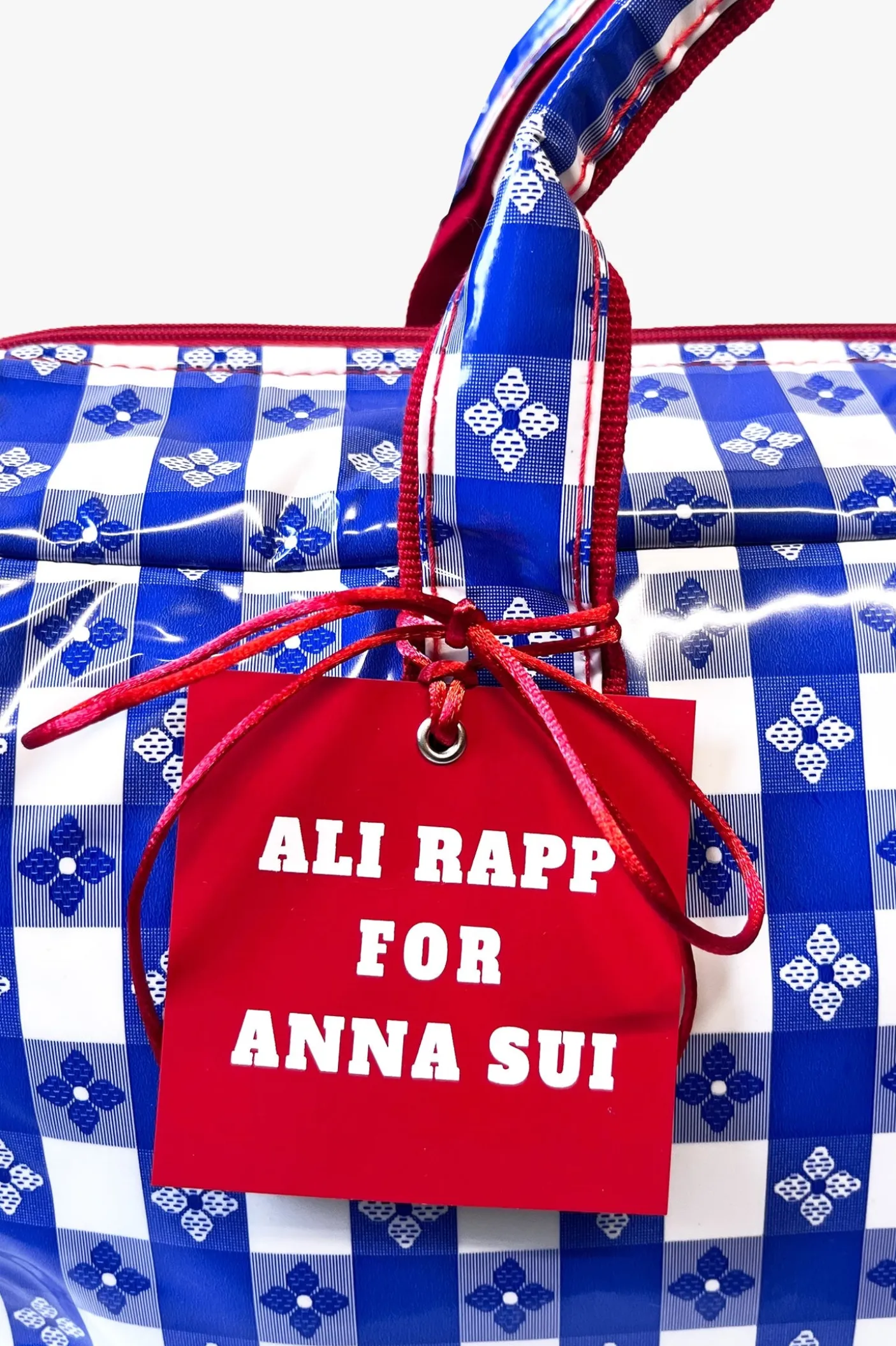 Ali Rapp for Anna Sui Large Summer Picnic