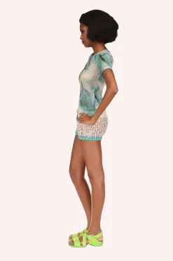 Cosmos Mesh Top
