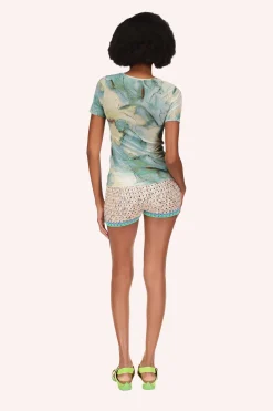 Cosmos Mesh Top