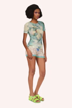 Cosmos Mesh Top