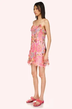Dahlias Crinkle Chiffon Ruffle Mini Dress