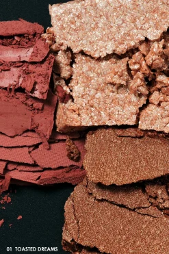 Limited Edition: Anna Sui NYC Eye & Face Color Palette - Toasted Dreams