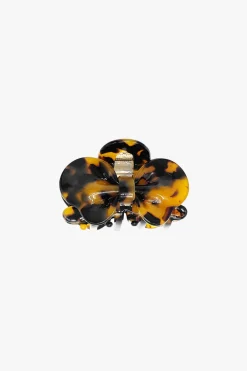 Tokyo Tortoise Bow Jaw